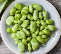 باقاله (یا باقالا)